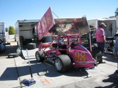 WINGED PINK LADY 98 KENNY HAMILTON.JPG